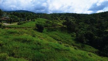 TERRENO EN VENTA DE 20,000 M² EN MIRAFLORES, PÉREZ ZELEDÓN in San Isidro De El General, Pérez Zeledón, San José — $150,000 - Photo 4 of 10