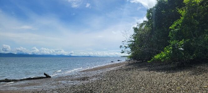 Terreno frente a la playa en Puerto Jiménez, Golfito, Puntarenas — $450,000