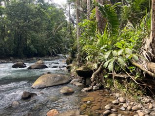 Río Celeste, Guatuso, Provincia de Alajuela, 21502, CRI en Buenavista, Guatuso, Alajuela — 264 000 000 ₡ - Foto 5 de 14