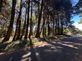 Venta de lote en El Tirol, Bosques del Monte, San Rafael de Heredia - Foto 2 de 3