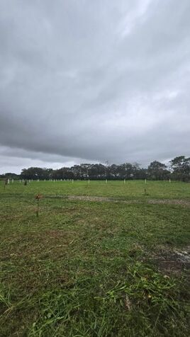 Quintas de 5,000m2 a 20 minutos de La Fortuna | 8751-4191 en La Fortuna, San Carlos, Alajuela — ₡ 40 000 000