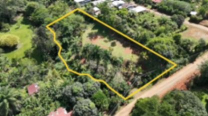 LOTE EN VENTA EN LAS MERCEDES DE CAJÓN, PÉREZ ZELEDÓN – 2,466 M² in Cajón, Pérez Zeledón, San José — ₡ 58 000