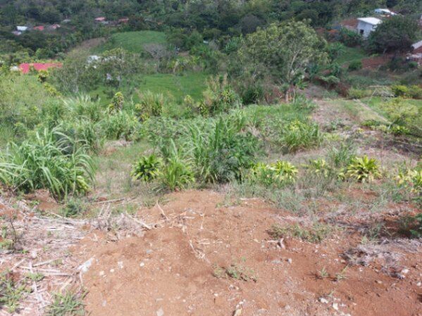 SE VENDE PRECIOSO LOTE EN SAN RAMÓN.  in San Isidro, San Ramón, Alajuela — ₡ 45 000 000