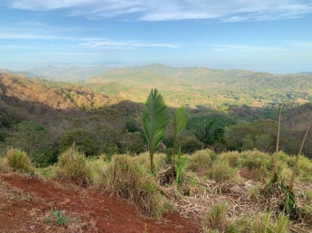 LOTE EN VENTA EN GUANACASTE en Puerto Carrillo, Hojancha, Guanacaste — $459,000