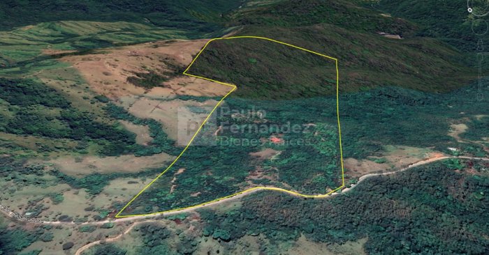 Finca de 50.9Ha en Venta – El Salvador, Piedades Sur, San Ramón in Piedades Sur, San Ramón, Alajuela — ₡ 420 000 000