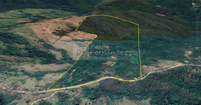 Finca de 50.9Ha en Venta – El Salvador, Piedades Sur, San Ramón in Piedades Sur, San Ramón, Alajuela — ₡ 420 000 000