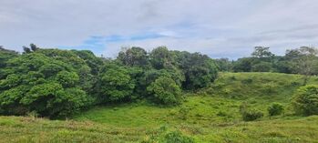 Venta de Lote en Sarapiquí, Heredia. RAH 25-1699 in La Virgen, Sarapiquí, Heredia — 160 000 000 ₡ - Photo 5 of 10