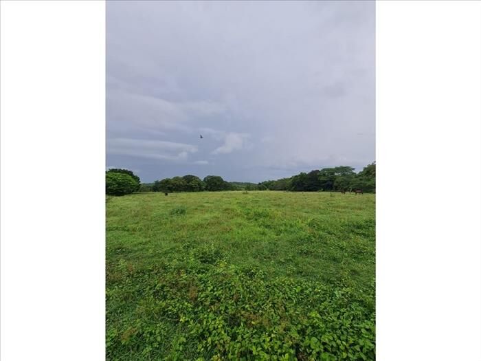 VENTA DE FINCA, GUANACASTE, BAGACES en Bagaces, Guanacaste — $5,000,000