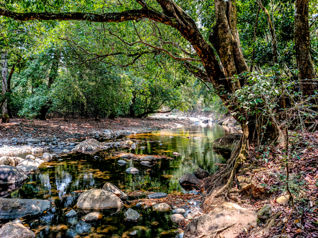 Se Vende Finca de 11,830 m2 en Orotina con Frente al Rio Machuca