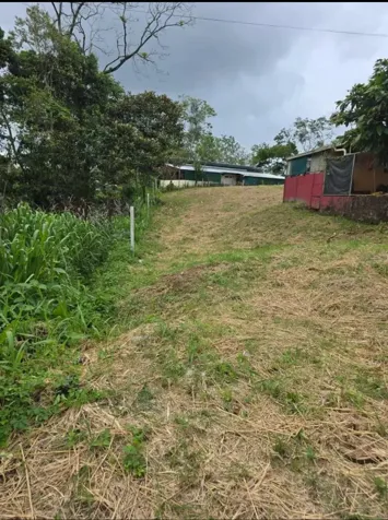 🌿 LOTE EN VENTA – LA TIGRA en La Tigra, San Carlos, Alajuela — ₡ 19 000 000 - Foto 3 de 6