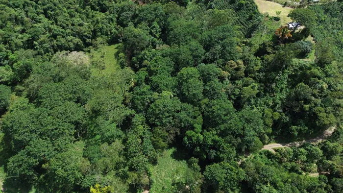 VENTA DE LOTE RESIDENCIAL Y TURISTICO EN SAN FRANCISCO DE RIVAS, PEREZ ZELEDON en Rivas, Pérez Zeledón, San José — $160,000