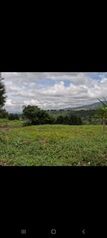 Land For Sale Bolívar, Grecia, Alajuela