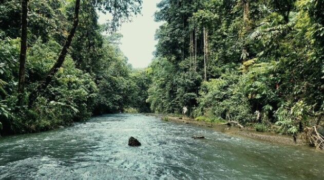 Venta Eco-Lodge 76 ha con marca, catarata y potencial turístico #26-1303 GS en Bahía Drake, Osa, Puntarenas — $4,000,000