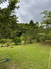 VENTA Finca de 2.0 Ha en Bella Vista de Guápiles -  CON CASA DE HABITACION- PRECIO NEGOCIABLE en Guápiles, Pococí, Limón — 240 744 000 ₡ - Foto 2 de 18