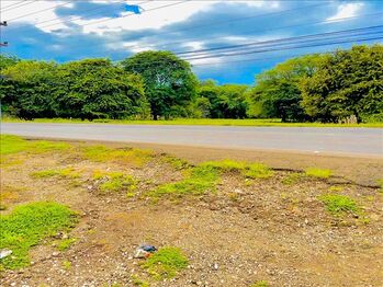 Farm For Sale Tamarindo, Santa Cruz, Guanacaste