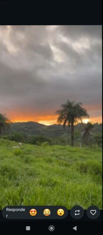 Finca de 4 hectáreas 1353 M2 con agua en un lugar muy fresco en Monte Romo, Hojancha, Guanacaste — $500,000
