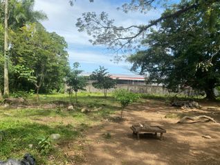 Lote frente al BAC SAN JOSE , Guapiles centro