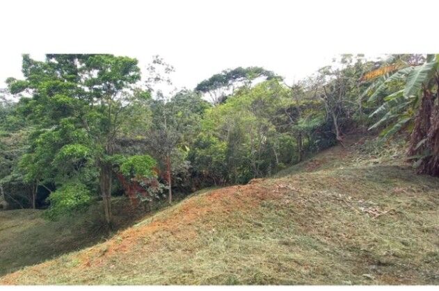 VENDO LOTE EN SANTIAGO-PURISCAL, SAN JOSÉ. en Santiago, Puriscal, San José — ₡ 90 000 000