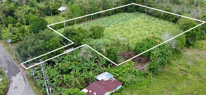 Venta de Lote Plano, a 20 min del centro de La Fortuna in La Fortuna, San Carlos, Alajuela — ₡ 46 000 000