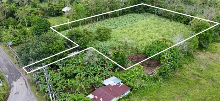Venta de Lote Plano, a 20 min del centro de La Fortuna en La Fortuna, San Carlos, Alajuela — ₡ 46 000 000