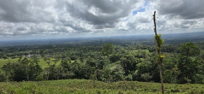 VENTA DE FINCA EN RIO CELESTE ALAJUELA in San Rafael, Guatuso, Alajuela — $345,800