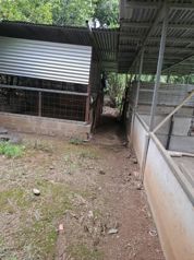 Oportunidad de venta terreno en Artieda de Esparza, Puntarenas en Espíritu Santo, Esparza, Puntarenas — 44 000 000 ₡ - Foto 4 de 8