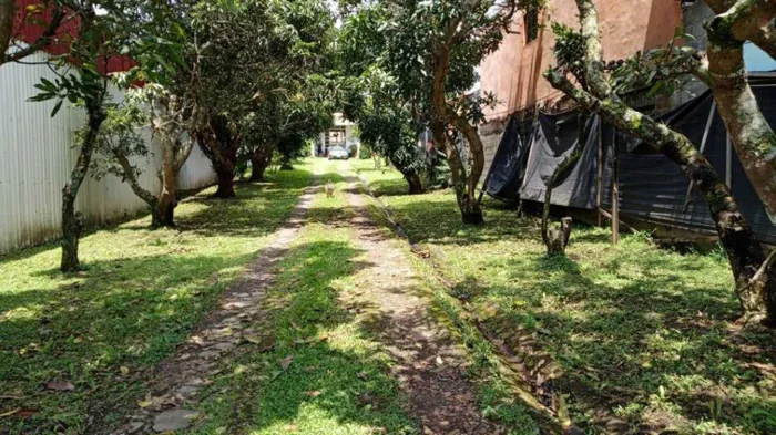 Oportunidad Propiedad comercial Industrial San Pablo de Heredia en San Pablo, Heredia — ₡ 160 000 000 - Foto 3 de 37