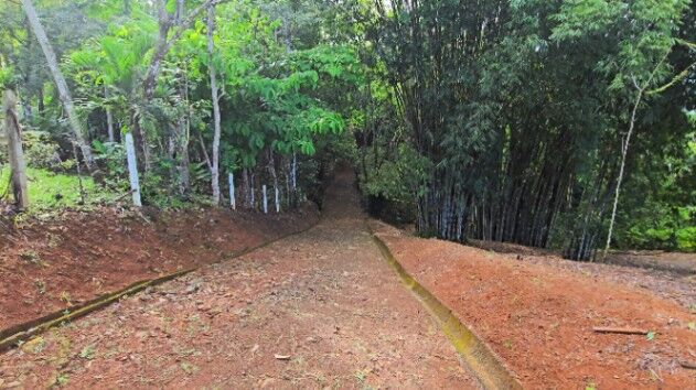 OPORTUNIDAD EXCLUSIVA DE INVERSION: FINCA DE 8.3 HECTAREAS CERCA DE DOMINICAL in Barú, Pérez Zeledón, San José — $299,999