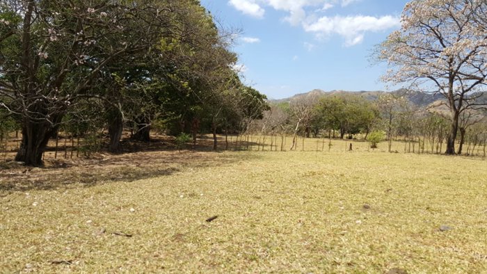 Venta lote en Alajuela, Turrucares - Ata densidad para desarrollo in Turrúcares, Alajuela — $1,422,480