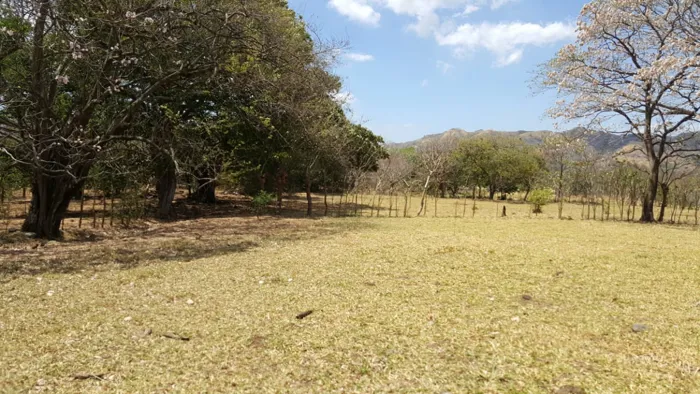 Venta lote en Alajuela, Turrucares - Ata densidad para desarrollo en Turrúcares, Alajuela — $1,422,480