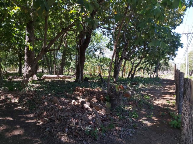 1 Ha para comercial entre Santa Cruz - Nicoya en Santa Cruz, Guanacaste — $200,000 - Foto 3 de 5