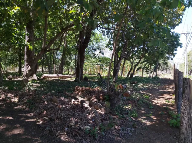 1 Ha para comercial entre Santa Cruz - Nicoya in Santa Cruz, Guanacaste — $200,000 - Photo 3 of 5