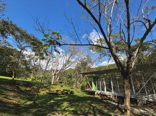 Terreno en Venta en Turrubares – 5,011 m² Con río en la propiedad en San Pedro, Turrubares, San José — 44 800 000 ₡ - Foto 5 de 29