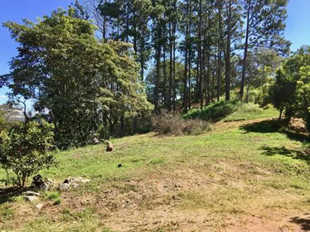 17,469m2 with private well adjoining the Picaflora residential development in Atenas, Alajuela — $576,500 - Photo 2 of 6