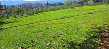 Lot for Sale in San Isidro de Grecia – Stunning Views en San Isidro, Grecia, Alajuela — 22 500 000 ₡ - Foto 5 de 6