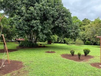 🏠 Oportunidad de ensueño: Finca de lujo en Orotina 🏠 in Coyolar, Orotina, Alajuela — $1,600,000 - Photo 4 of 20