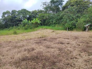 Lote en Venta Palmares, Palmares, Alajuela