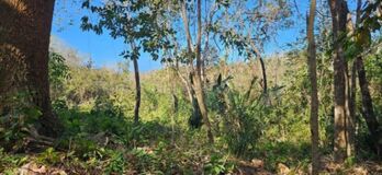 Venta de Lote en Santa Cruz-Cuajiniquil, Guanacaste. RAH 26-1566 PRECIO REBAJADO in Cuajiniquil, Santa Cruz, Guanacaste — 150 000 000 ₡ - Photo 4 of 6