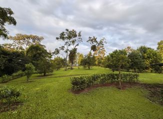 Farm with Beautiful River in Pocora, Guácimo, Limón — ₡ 140 000 000 - Photo 5 of 10