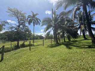 Venta de terreno en Las Horquetas de Sarapiquí. in Las Horquetas, Sarapiquí, Heredia — $172,379 - Photo 2 of 3