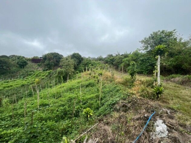 Venta de Lote en Paraíso, Cartago. RAH 26-3 en Santiago, Paraíso, Cartago — ₡ 50 000 000