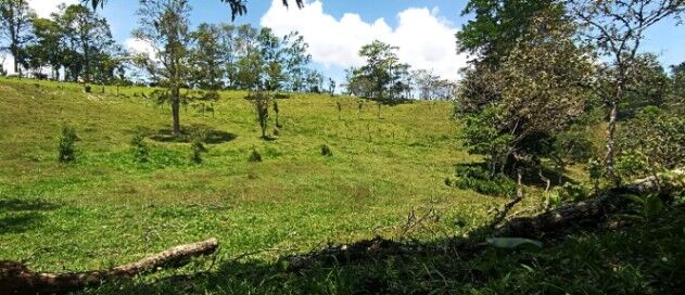 "¡Oferta Única! La propiedad de Tus Sueños a Precio de Ganga" en Sabalito, Coto Brus, Puntarenas — ₡ 30 000 000