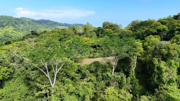OPORTUNIDAD EXCLUSIVA DE INVERSION: FINCA DE 8.3 HECTAREAS CERCA DE DOMINICAL in Barú, Pérez Zeledón, San José — $299,999
