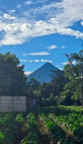 GANGA lote con Vista al Volcán 948m2  en La Fortuna, San Carlos, Alajuela — ₡ 35 000 000