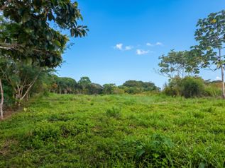 SE VENDE TERRENO LISTO PARA CONSTRUIR CON TOPOGRAFIA PLANA Y CERCA DE COMERCIOS in Cajón, Pérez Zeledón, San José — $70,000 - Photo 5 of 12