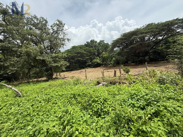 Finca de 85.9 Hectáreas con Río  Oportunidad de Inversión Agropecuaria en La Garita, La Cruz, Guanacaste — ₡ 429 650 000 - Foto 3 de 17