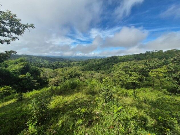 Finca en San Blas, Perez Zeledon. in San Isidro De El General, Pérez Zeledón, San José — $129,999