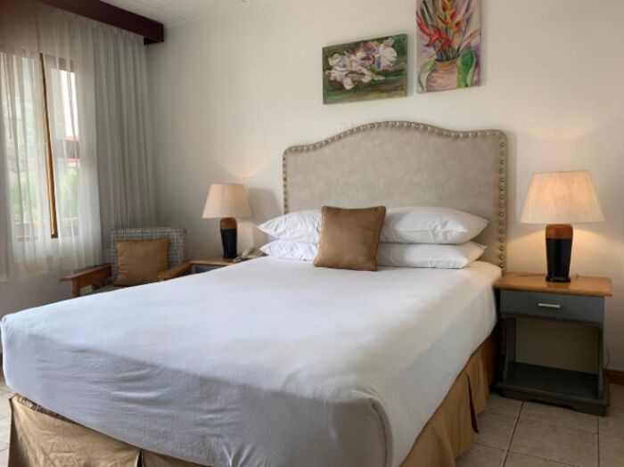 Acogedor apartamento amueblado con amenidades en La Sabana #25-1908 GS in Mata Redonda, San José — $700