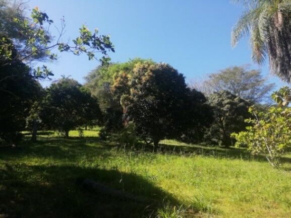 Se vende amplia finca de 5.6 hectáreas en Orotina Alajuela 21-1635 en Orotina, Alajuela — $1,681,600