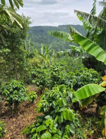 Se vende terreno. in San Andrés, León Cortés Castro, San José — ₡ 15 000 000